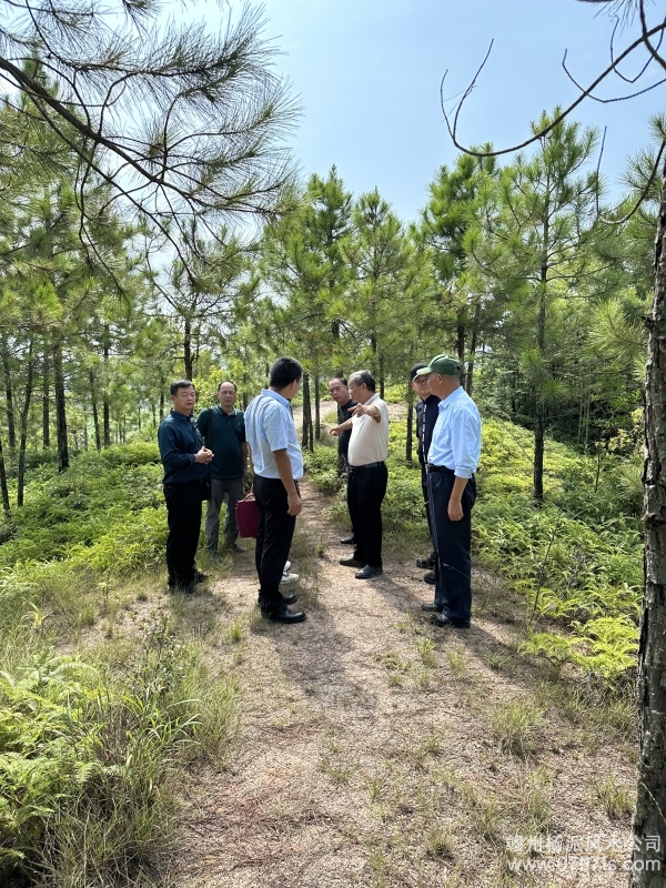 陕西学杨公风水跟陈荣昌老师实在